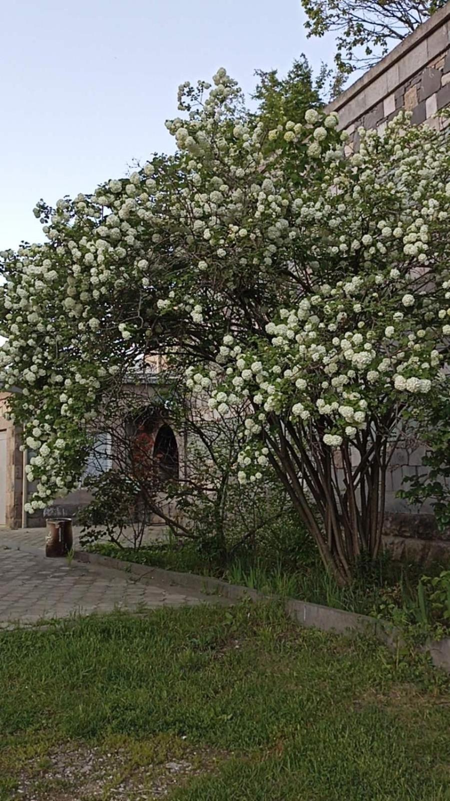 Luse Guest House Idzsevan Kültér fotó