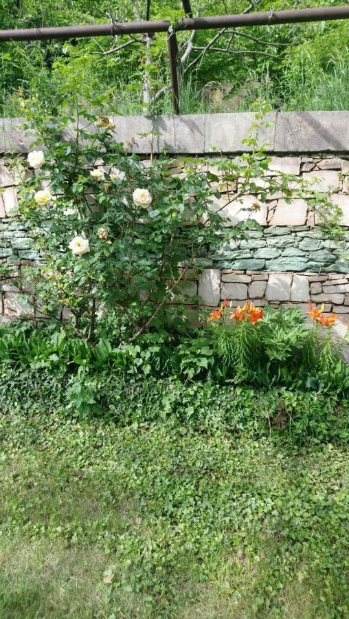 Luse Guest House Idzsevan Kültér fotó